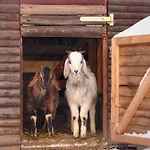 Guest house Erlebnishof Pleissental 3*