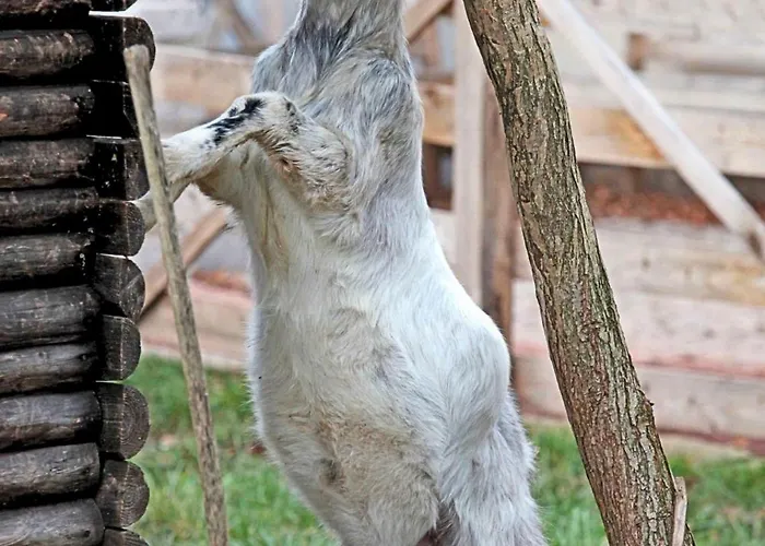 Guest house Erlebnishof Pleissental Werdau