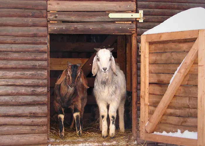 Penzion Erlebnishof Pleissental 3*